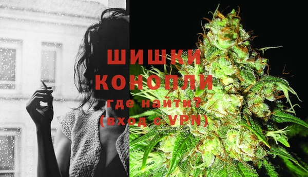 бошки Горняк