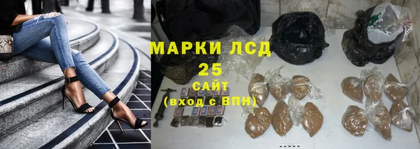 бошки Горняк