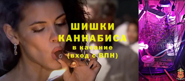 бошки Горняк